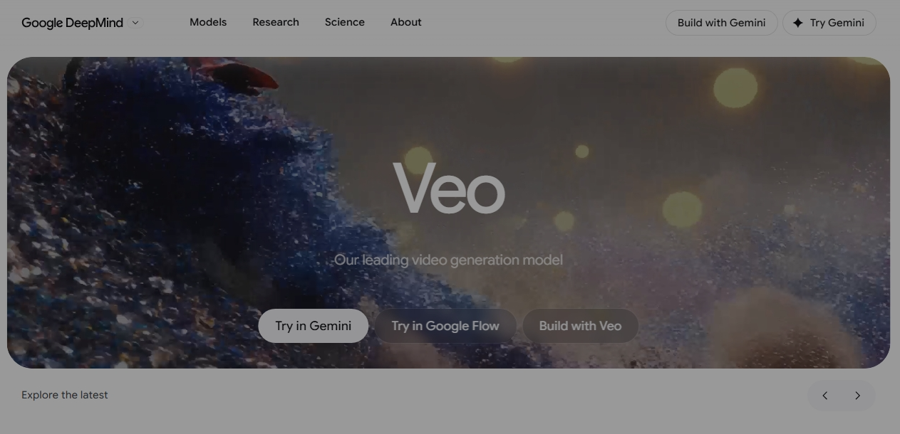 Google Veo AI视频生成模型 Google Veo