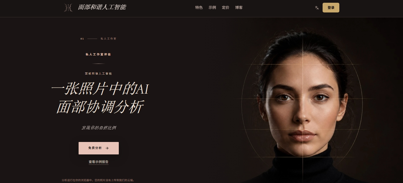 FacialHarmonyAI 浏览器本地面部分析工具 FacialHarmonyAI